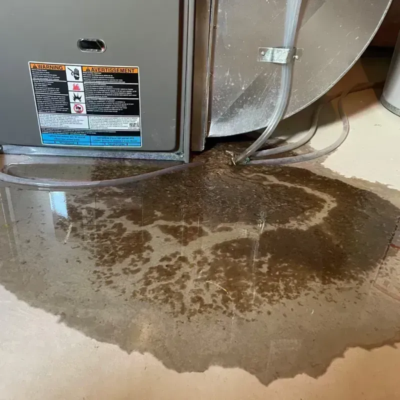 Appliance Leak Cleanup in Highland Heights, KY